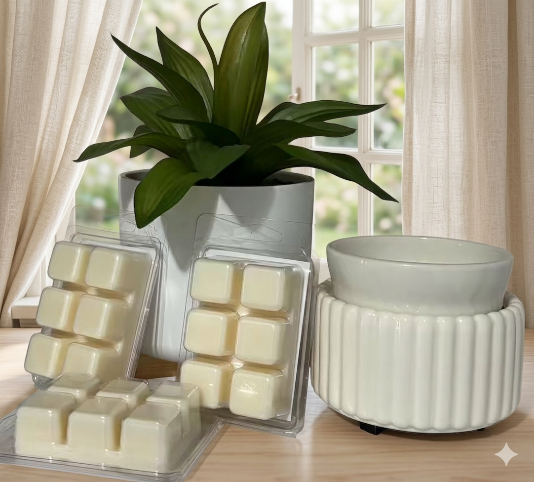 JK Home Fragrance Set – 3 Melts + Electric Warmer